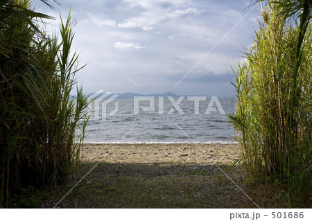 藪から内海 501686