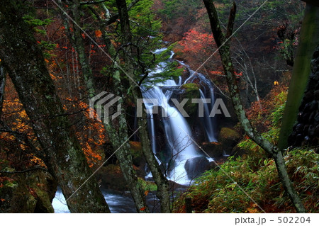 竜頭の滝（滝つぼ） 502204