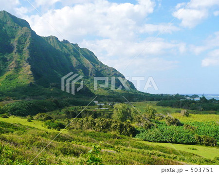 クアロア牧場 503751