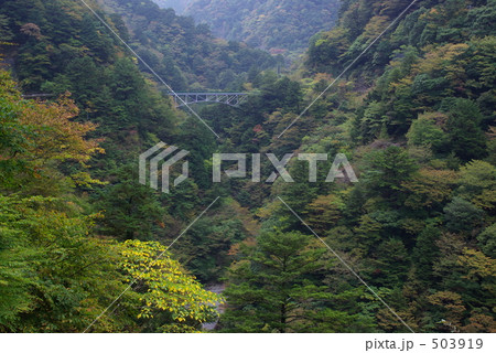 寸又峡の飛竜橋 503919