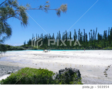 ピッシンヌ・ナチュレル 503954