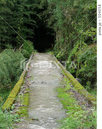 苔の生えた橋 504058