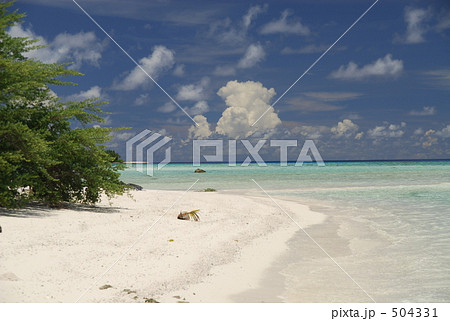 誰もいない島 誰もいない島 504331