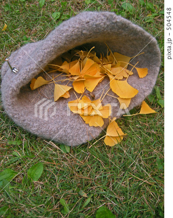 帽子と落ち葉遊びの写真素材