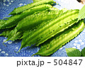 うりずん豆 504847