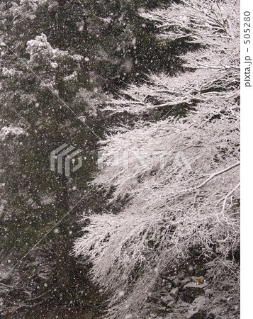 さぁ〜さァ、枯れ木に華を さぁ〜さァ、枯れ木に華を 505280