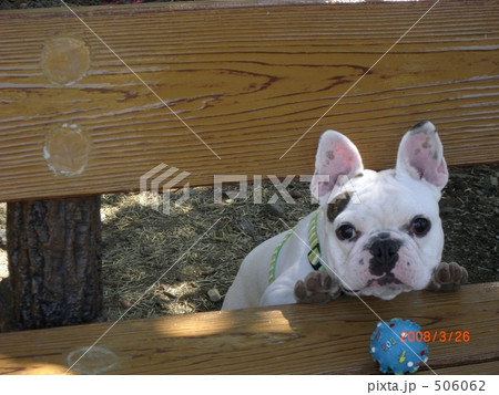 　ベンチにはさまれて。。 506062