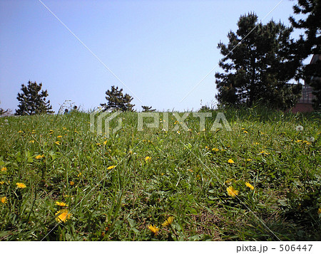 ぽかぽか陽気（丘）1 506447