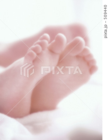 body parts 509440