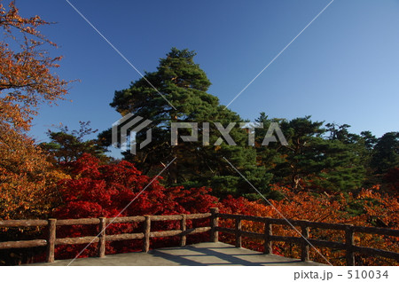 弘前城の紅葉 弘前城の紅葉 510034