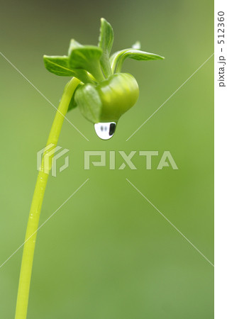 512360