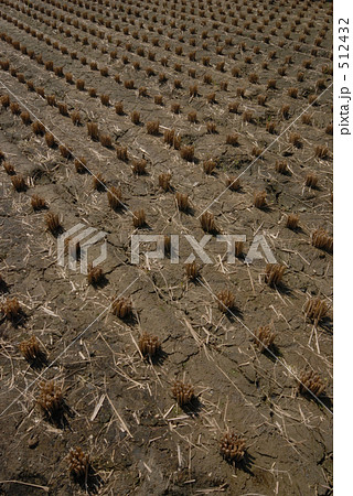 田園風景 田園風景 512432