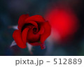 薔薇　カルディナール 512889