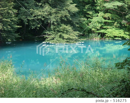 福島 五色沼 青沼 福島 五色沼 青沼 516275