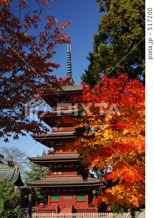 紅葉と五重塔 紅葉と五重塔 517200