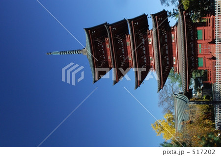 青空と五重塔 517202