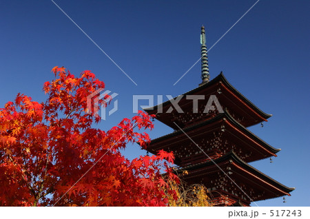 紅葉と五重塔 紅葉と五重塔 517243