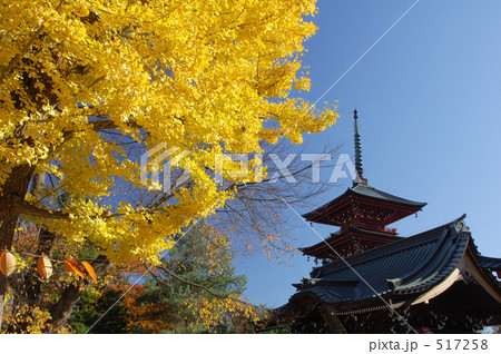 秋の寺院 秋の寺院 517258