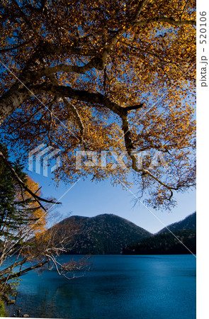 然別湖の秋 520106