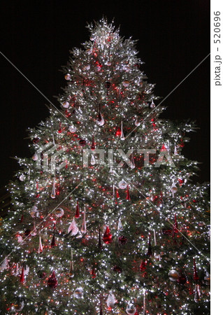 恵比寿　クリスマスイルミネーション 520696