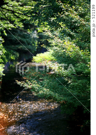有馬温泉の有馬川 有馬温泉の有馬川 521199