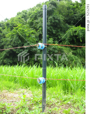 獣害から田んぼを守る電気柵 521291