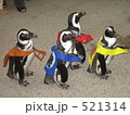 松江フォーゲルパークのペンギンのさんぽ 521314