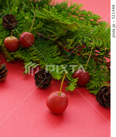 姫リンゴとゴールドクレスト 521498