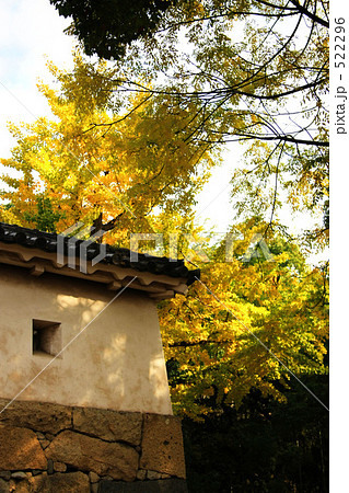 城壁といちょう 522296