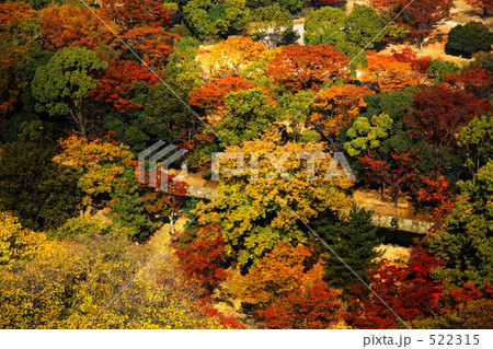 紅葉を上からみたところ 522315
