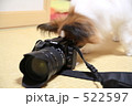 迷カメラマン♪ 522597