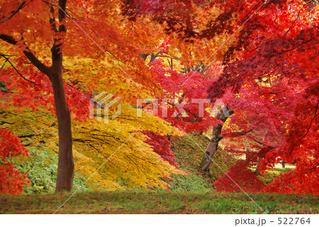 弘前公園の紅葉 522764