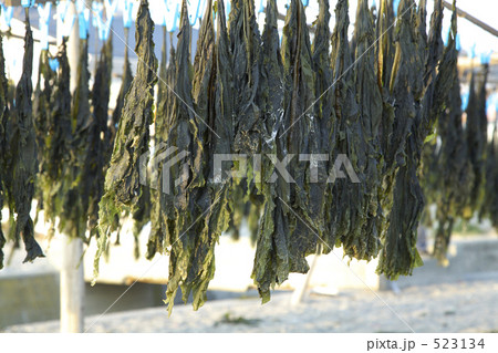 わかめの天日干し わかめの天日干し 523134