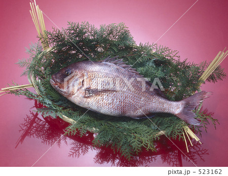 おめで鯛（活魚） 523162
