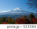 富士山 紅葉 孝徳公園 523384