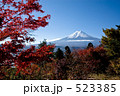 富士山 紅葉 孝徳公園 523385
