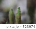 523974