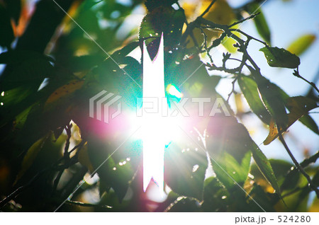 十字架発見 十字架発見 524280