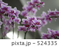 524335