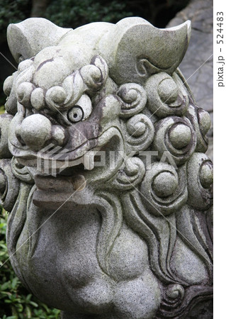 唐獅子 唐獅子 524483