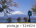 山中湖畔からの富士山と桜 524624