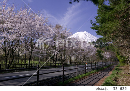 山中湖平野地区からの富士山 524626