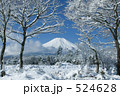山中湖花の都公園からの富士山雪景色 524628