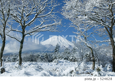 山中湖花の都公園からの富士山雪景色 524628
