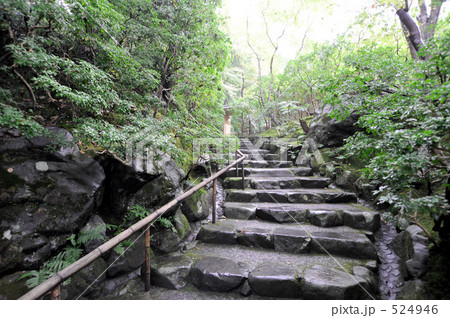 瑠璃光院 524946
