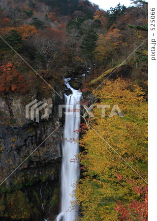 紅葉と華厳の滝２ 525066
