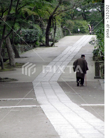 円覚寺にて 525202