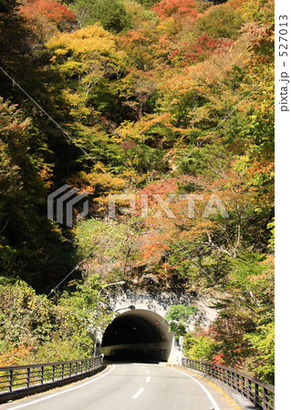 紅葉のトンネル 昇仙峡 紅葉のトンネル 昇仙峡 527013