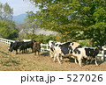 牧場にて 527026