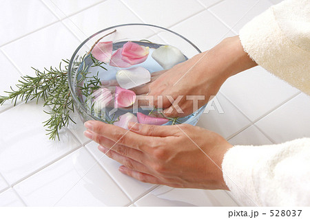 手浴 528037